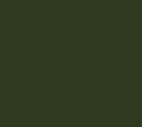 AK Interactive 11412 Figures Series: Medium Green 3G Acrylic Paint 17ml Bottle